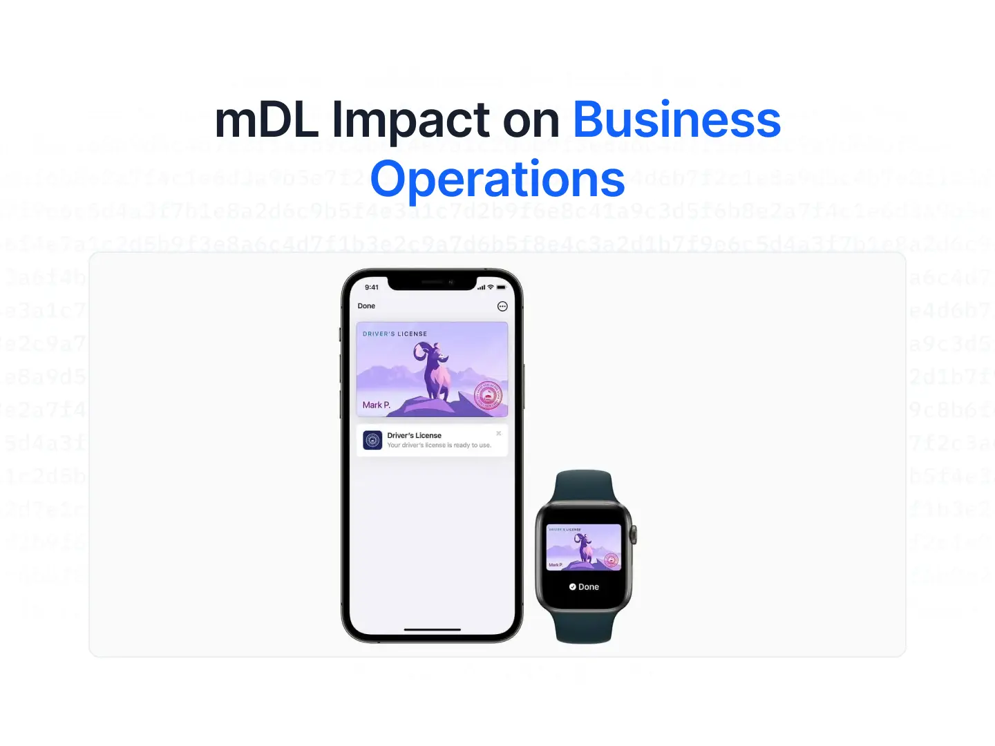 Impact of the mdl on business