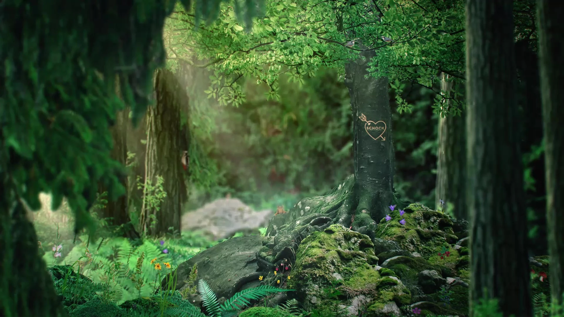 Photo collage of a forest