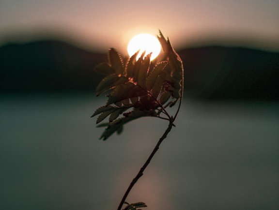 Focused Collaboration