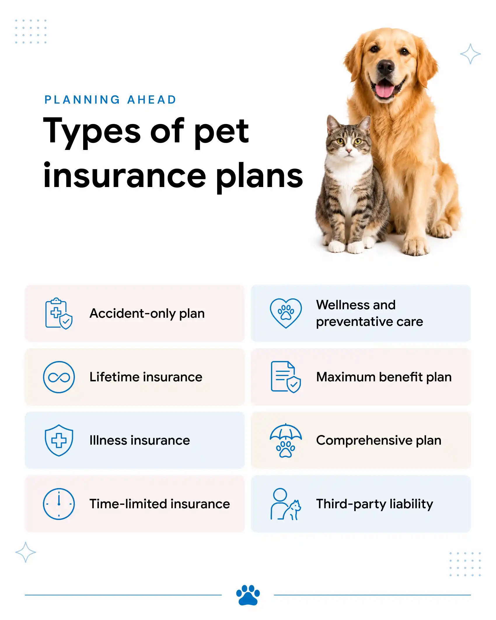 An infographic showing the types of pet insurance plans available in Dubai.