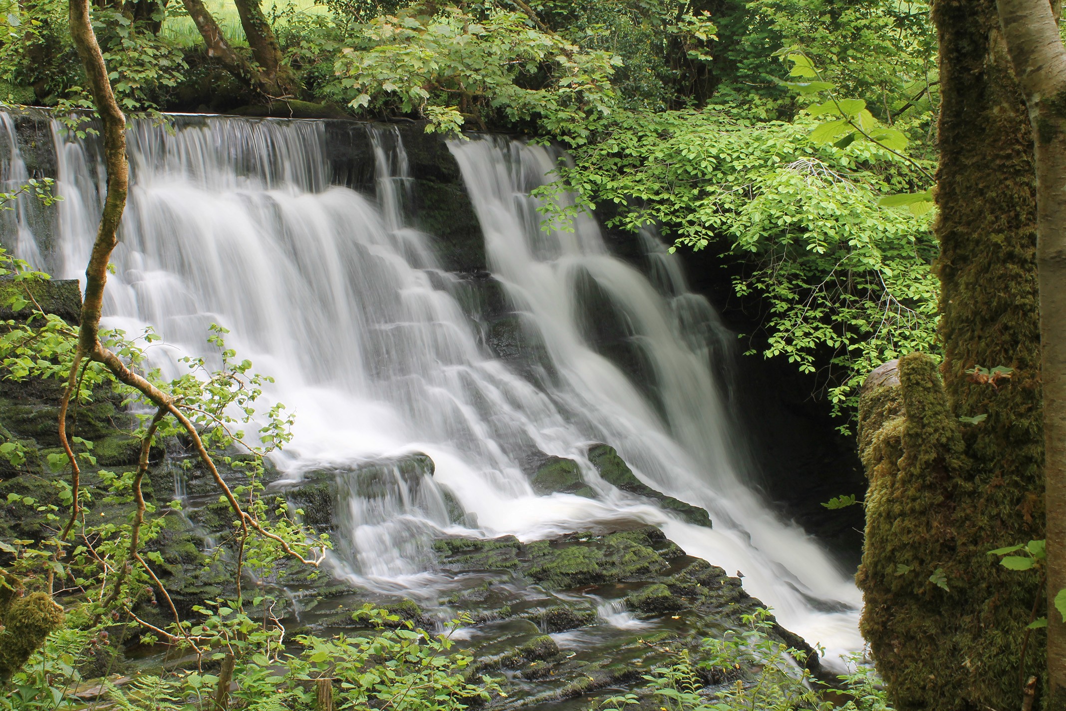 A serene waterfall cascading over rocks, surrounded by lush green foliage and trees.
