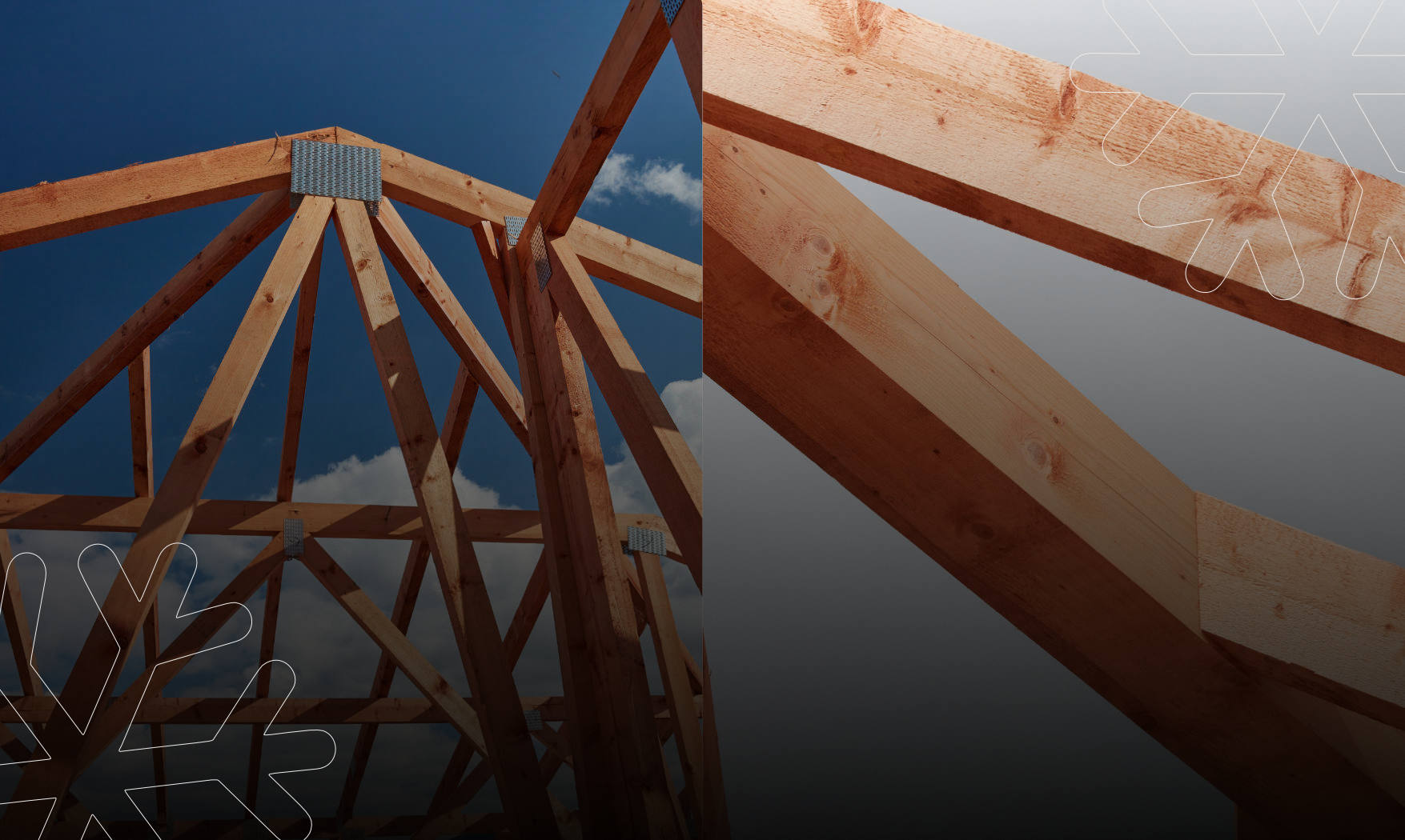 a tree with many leaves