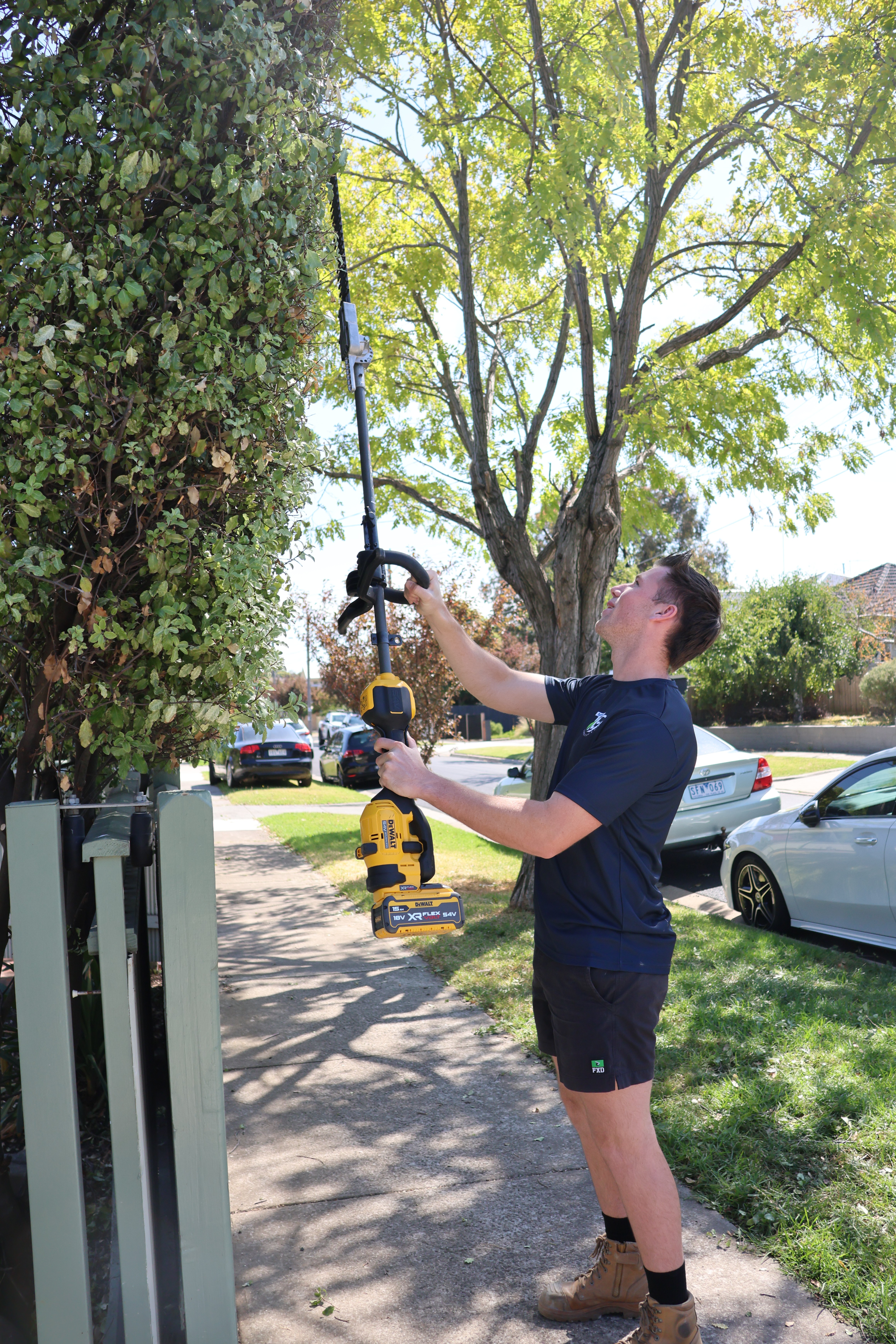 Man trimming a tall hedge with a long-reach trimmer.