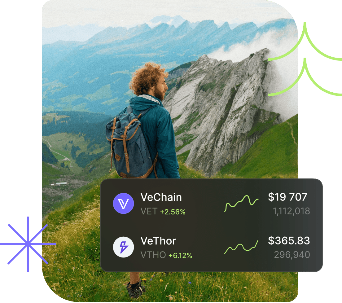 VeWorld wallet