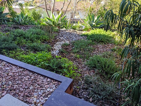 Hillside Meadow Garden project