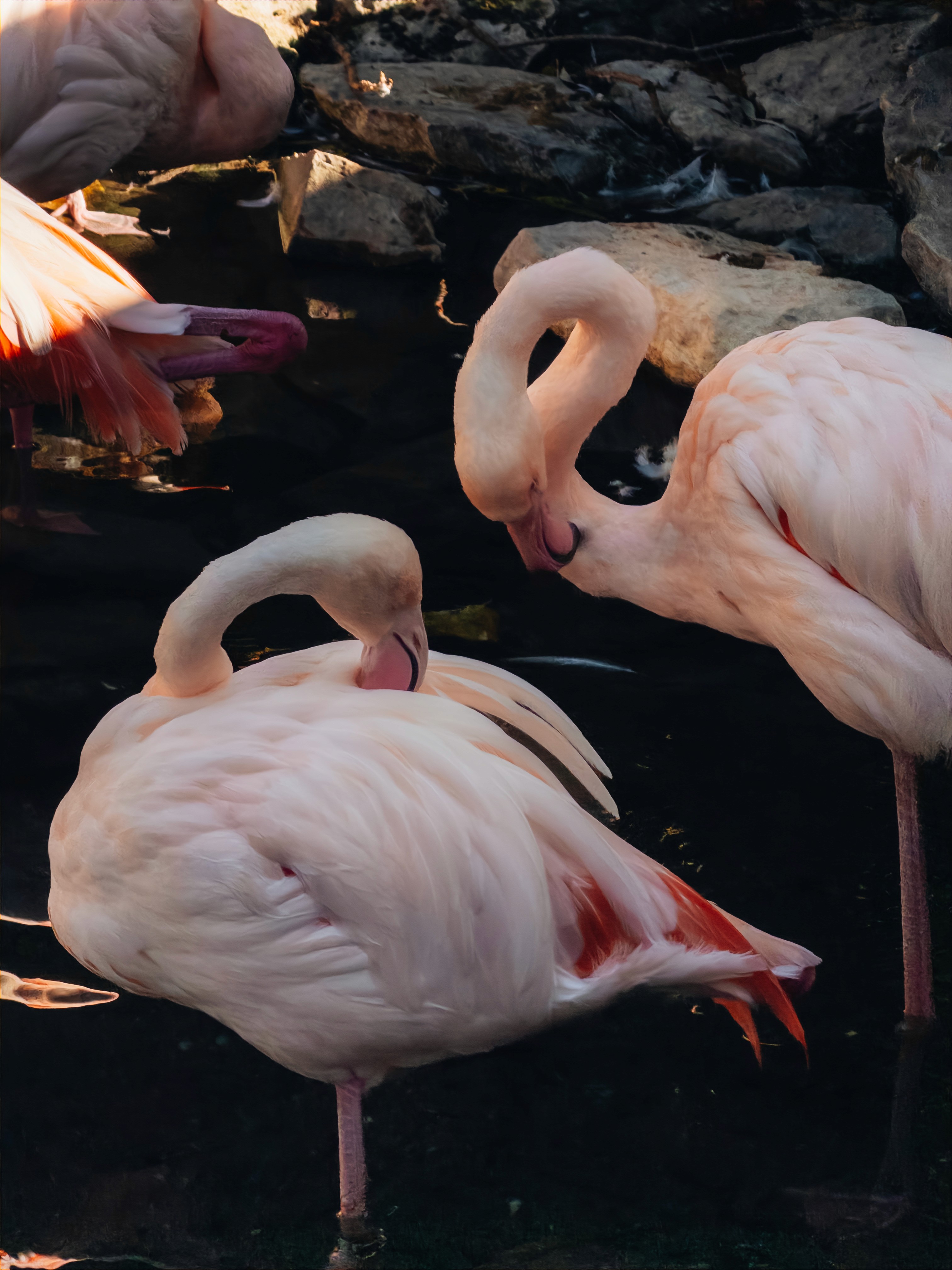 Urban Street Fashion Portrait
