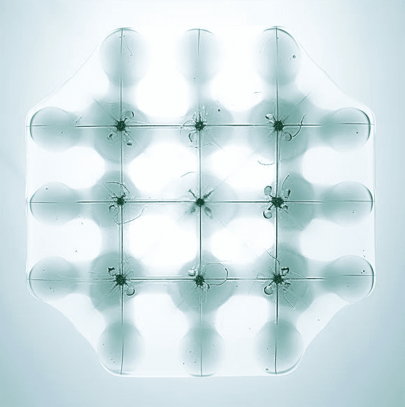 A smiling young man with crossed arms, wearing a plaid shirt and white t-shirt, poses against a dark background.