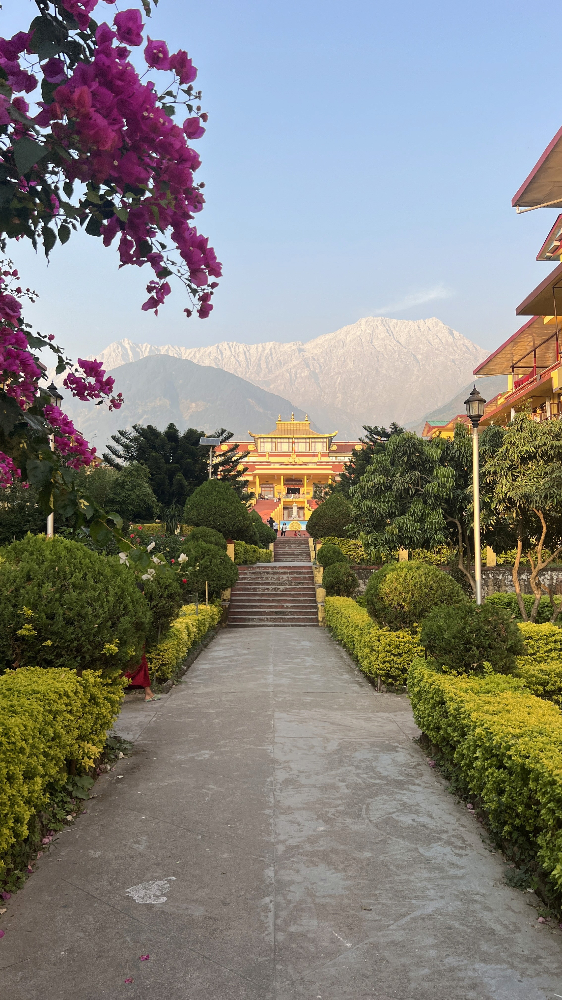 Gyoto monastary in Dharamshala India, retreat to india, tour buddhism