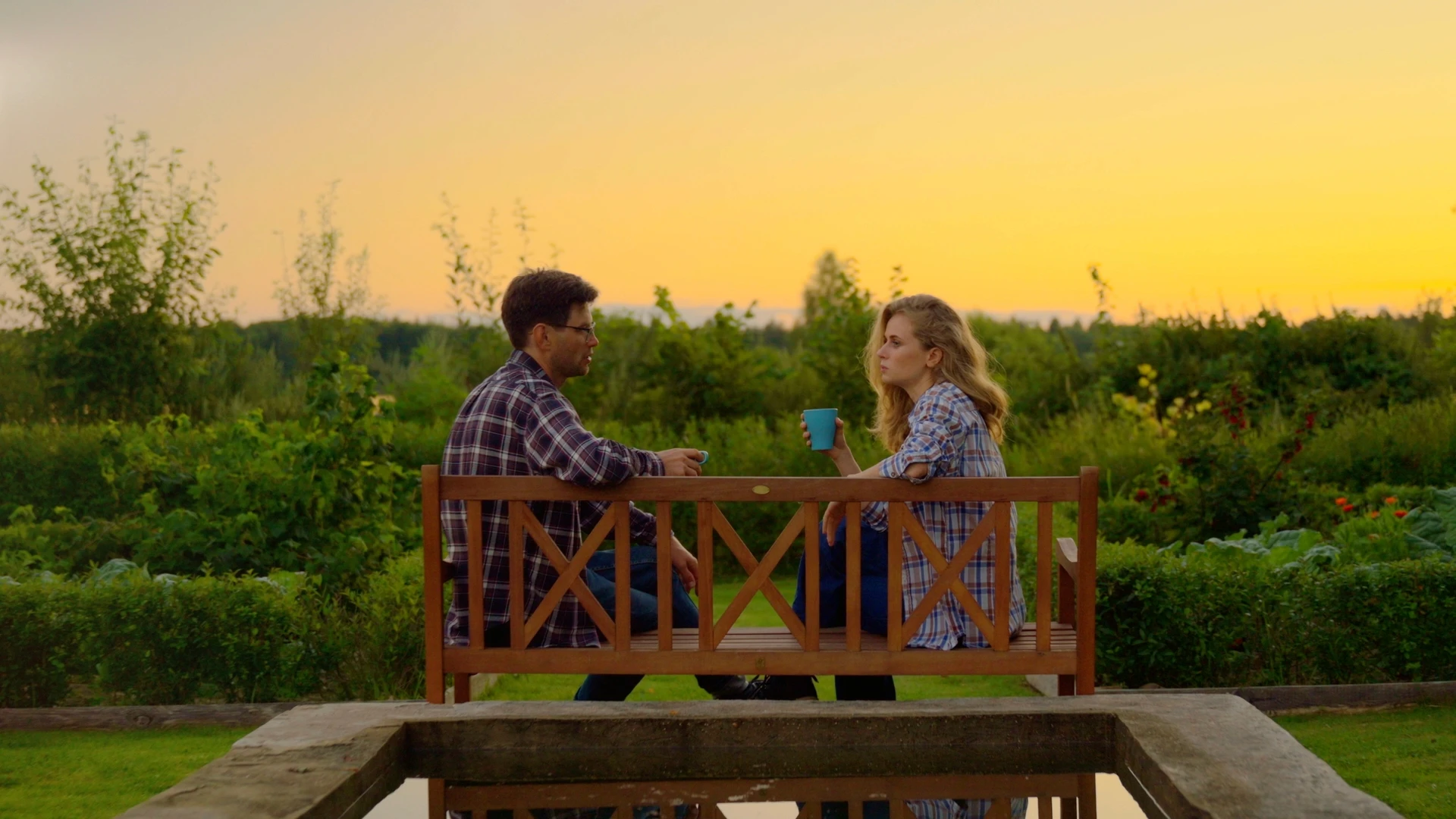 vegetables in the dew