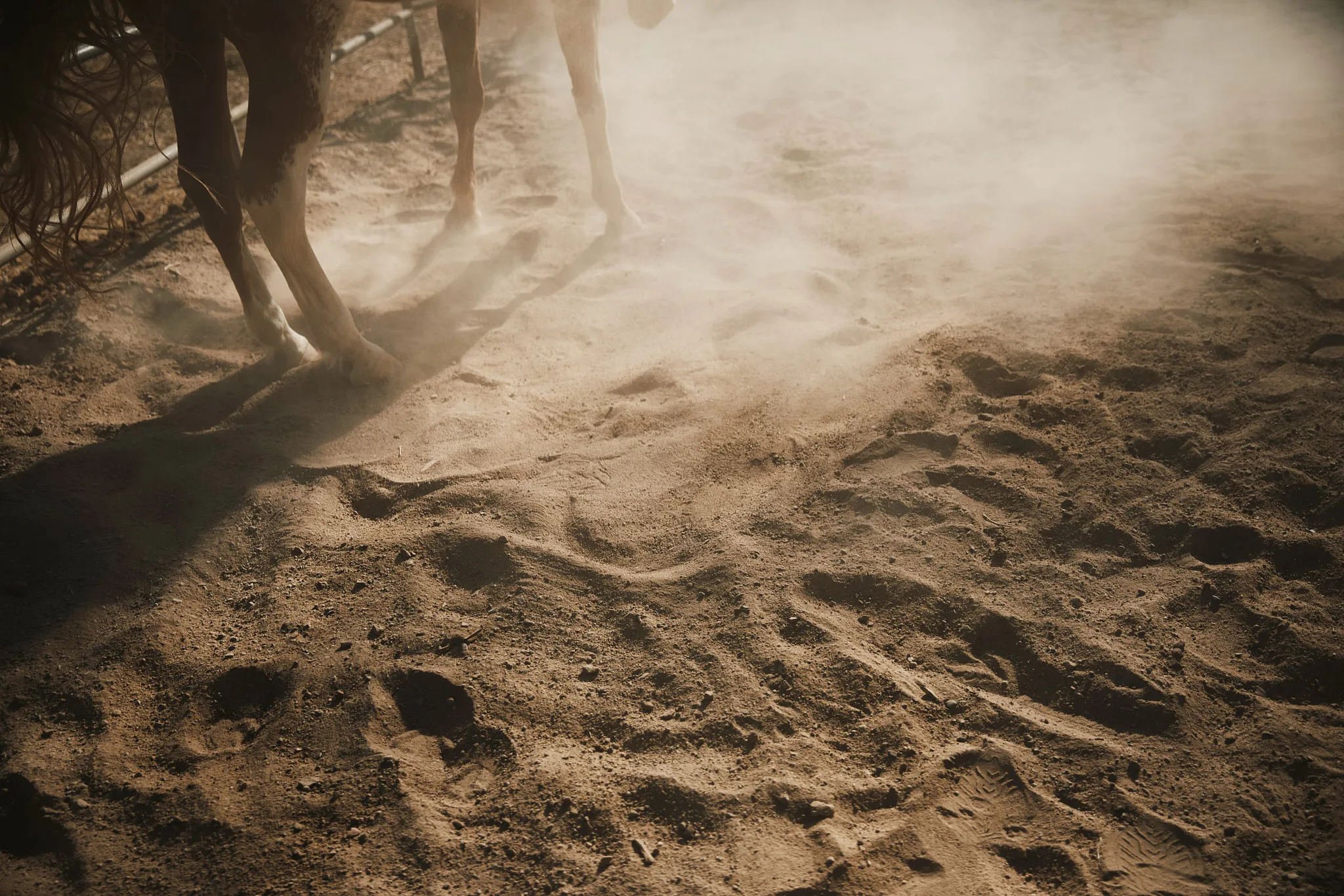 horse legs kicking up arena dust — Alex Saidac photography by Tom Kubik