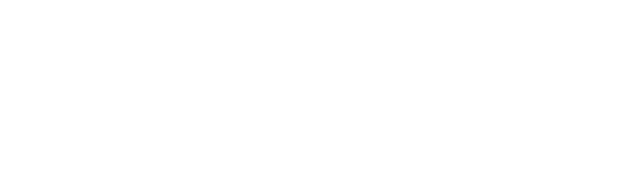 Perform Template Logo