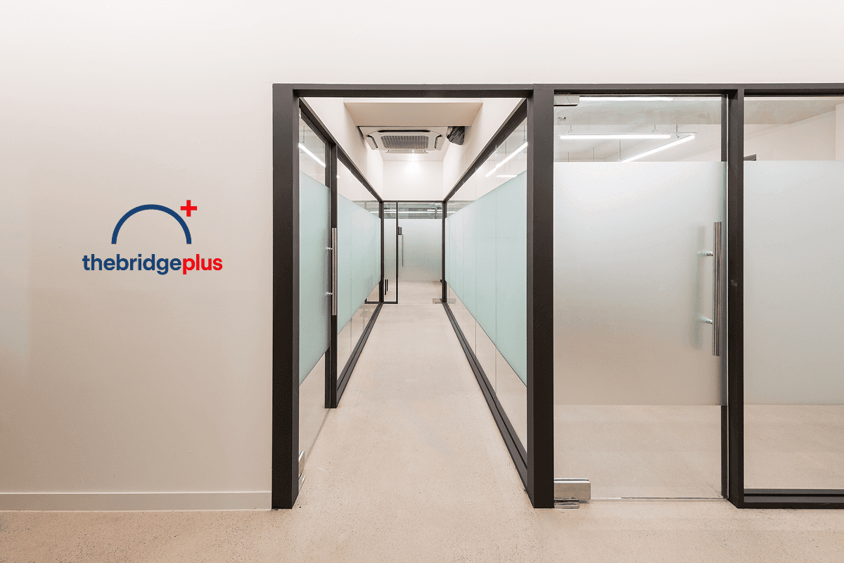 더브릿지플러스