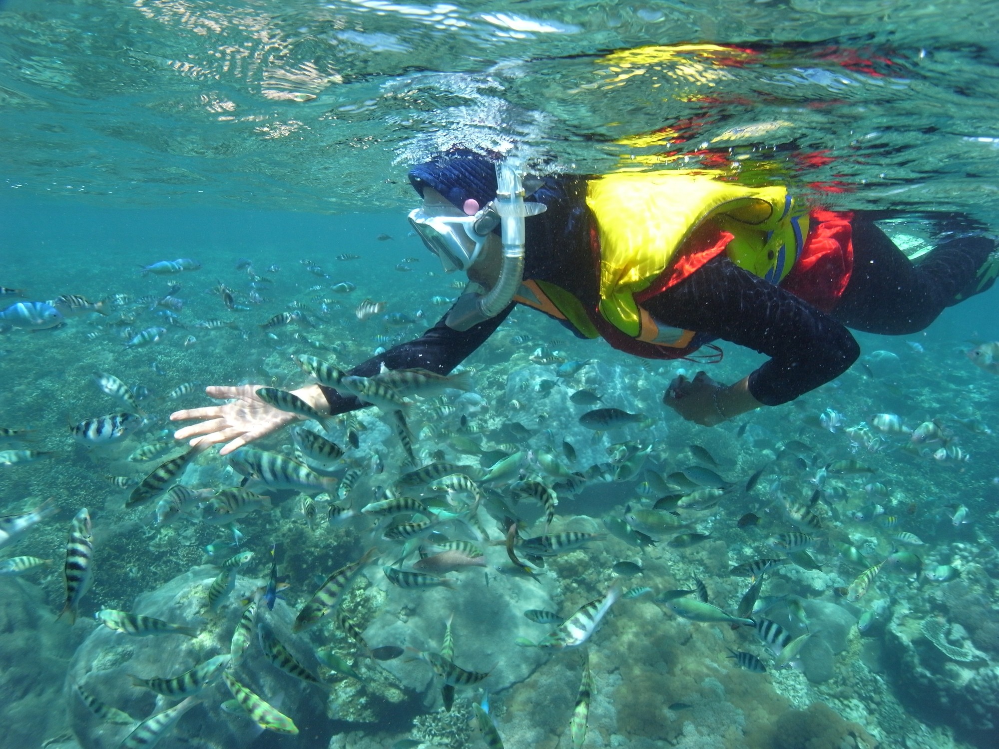 photography of dam during daytime