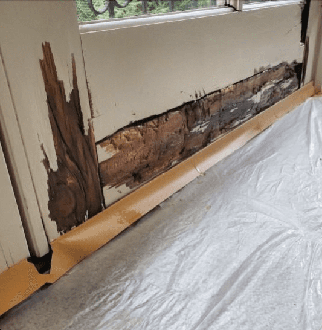 Profession Rot Repair Services in Marysville, WA