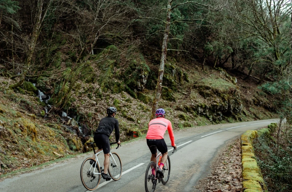 Two cyclists riding through a forest on an open road.