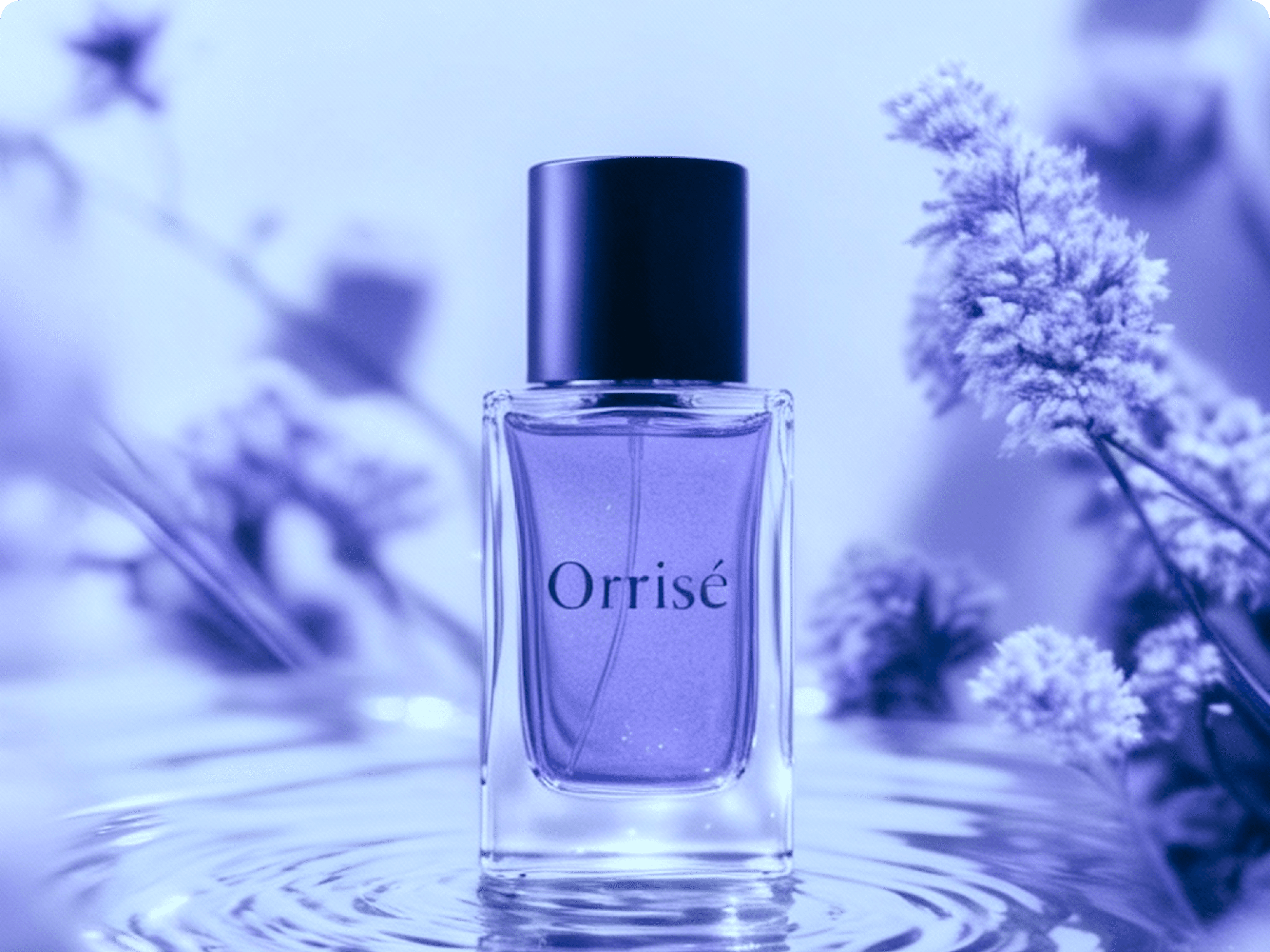 Minimalist perfume bottle labeled 'Orrisé' surrounded by soft-focus purple flowers.