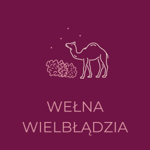 Minimalistyczna ikona wielbłąda i wełny na bordowym tle, symbolizująca luksusowy materiał.