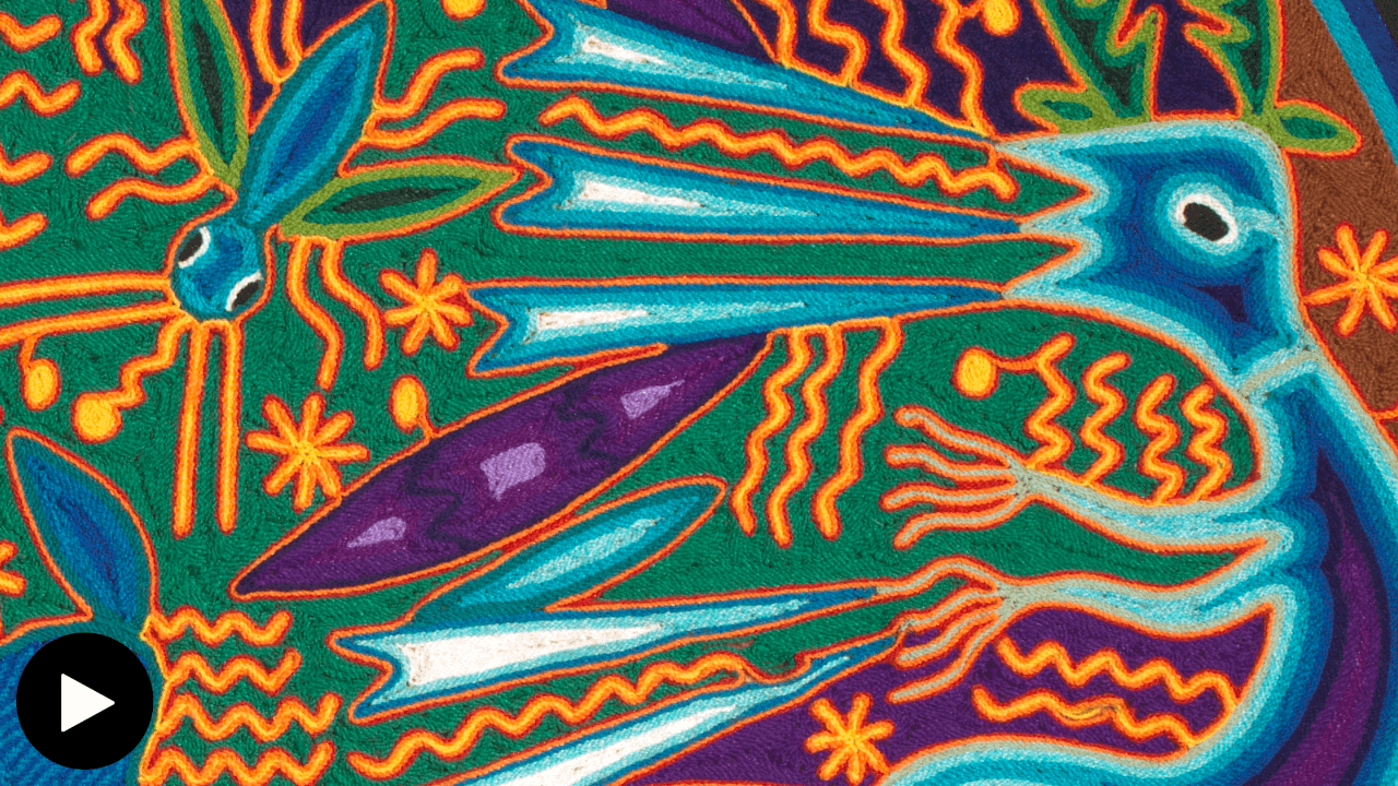 Image shows detail of José Benítez Sánchez's yarn painting, featuring the Blue Deer.
