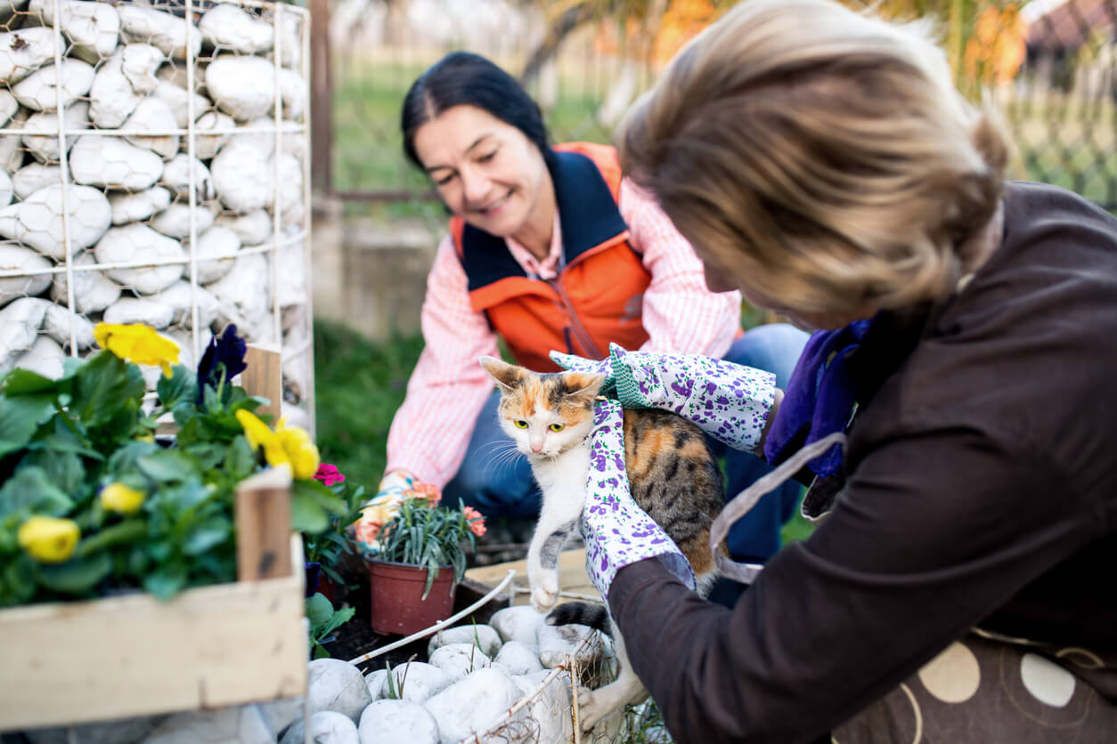 2 women taking care of a cat