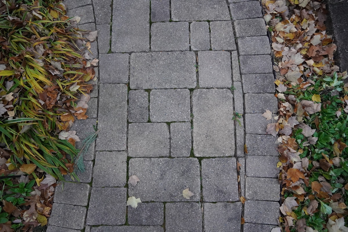 Before image
