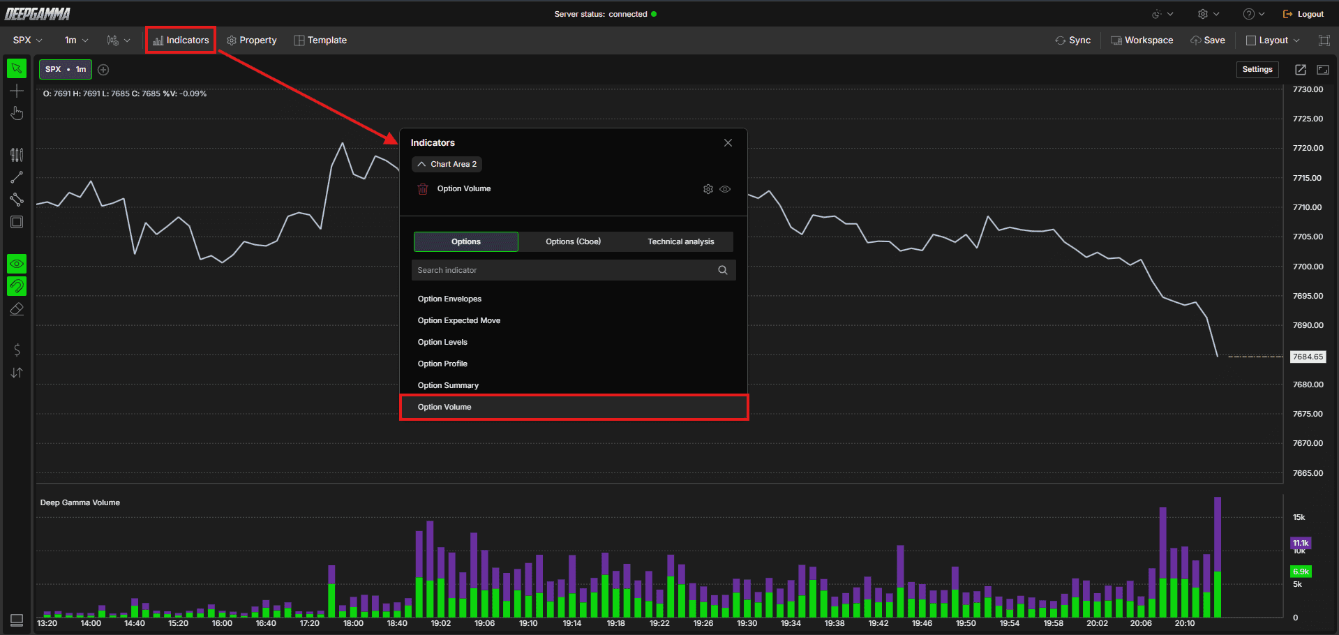 Option Volume - DeepGamma Web. How to Add Option Volume screenshot 2.