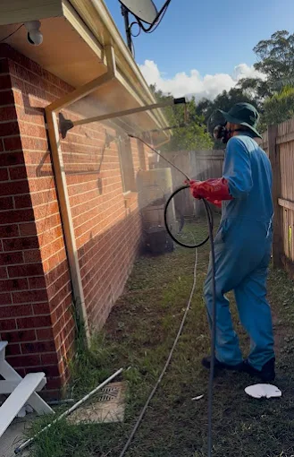 Professional spider treatment, Central Coast