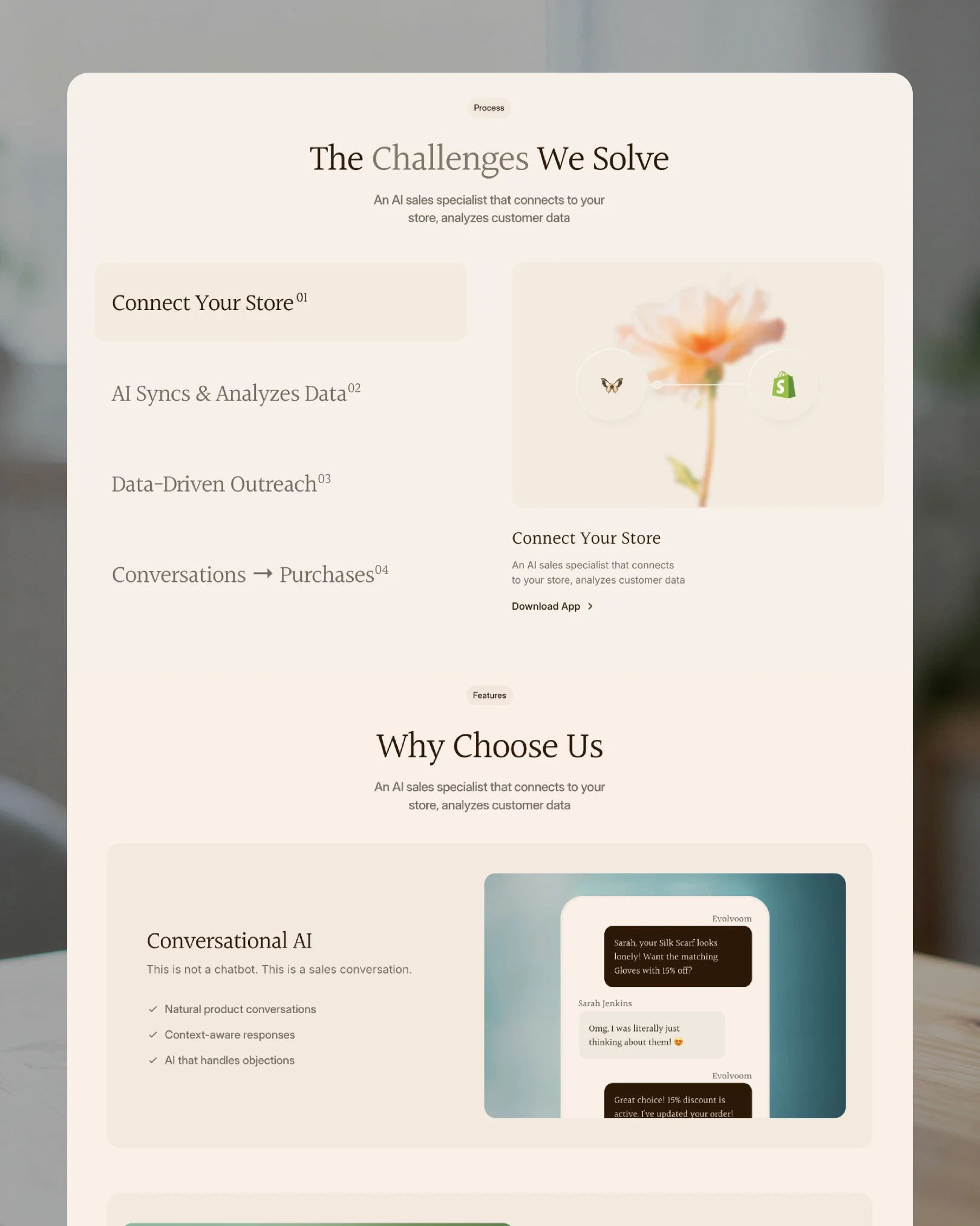 Evolvoom process section showing store connection and AI workflow steps — UI design by Luna UI design studio
