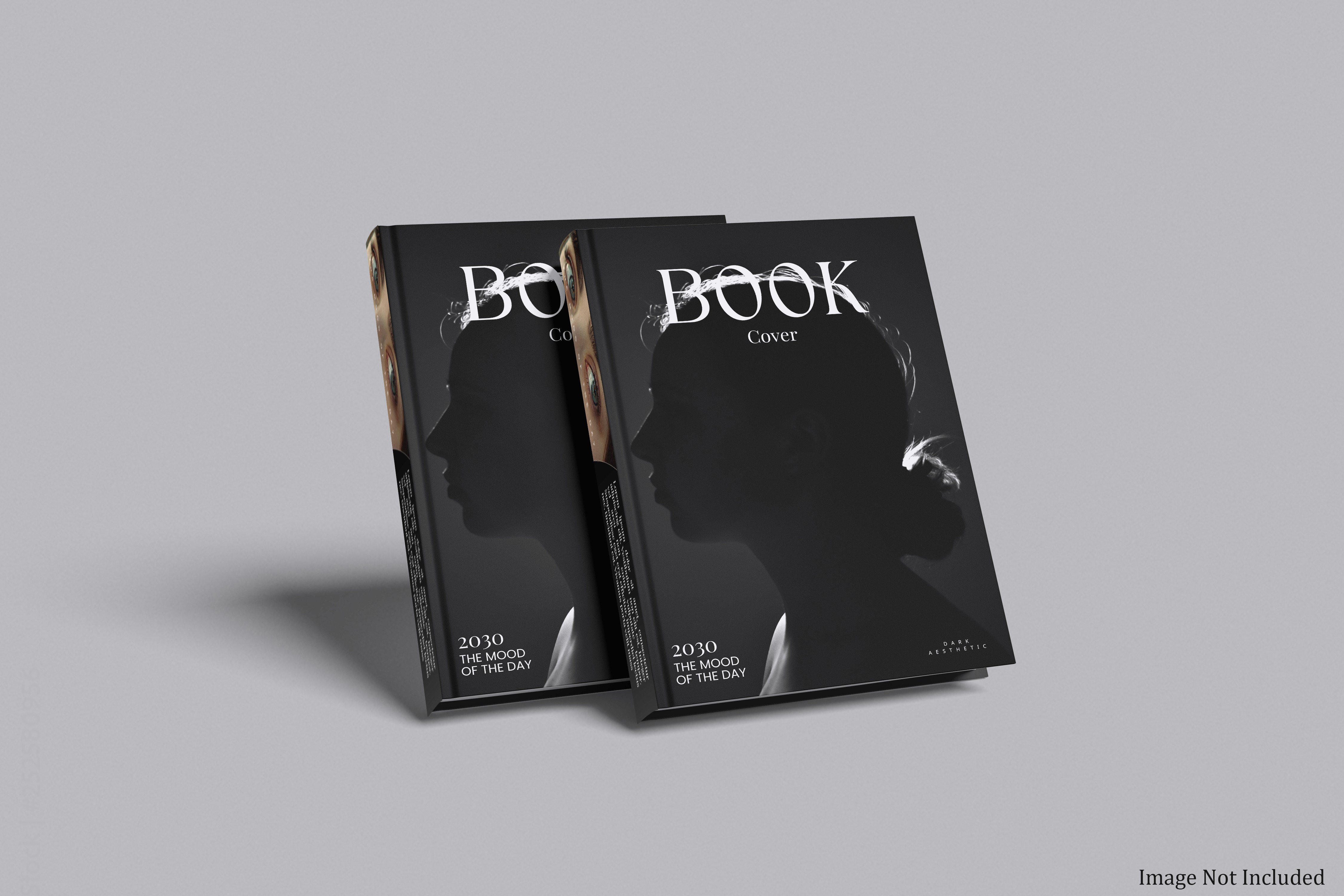 Two dark-themed book covers with a silhouetted profile design