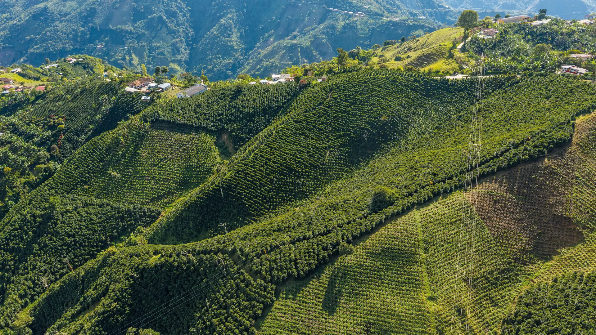 mountain landscape in colombia