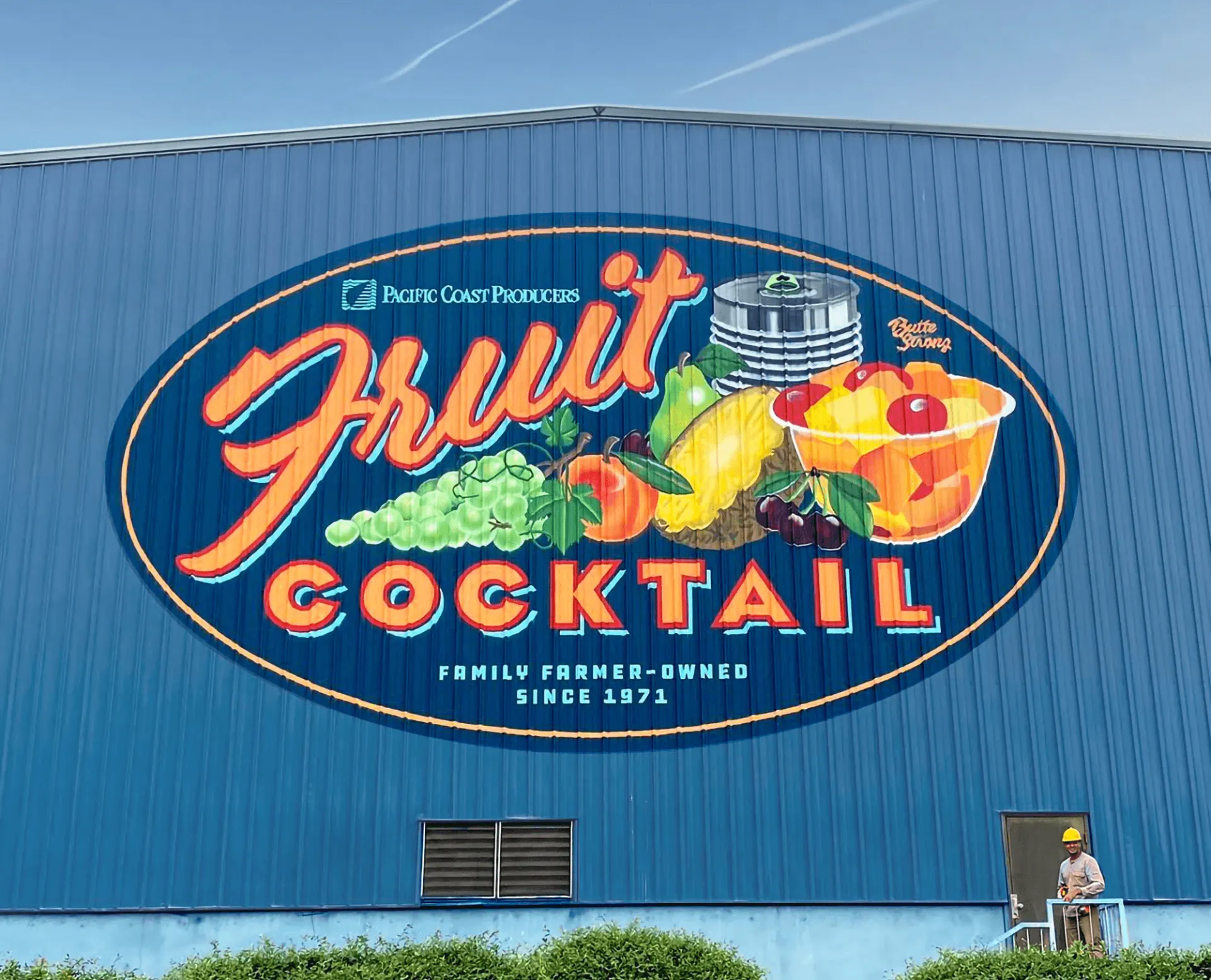 Fruit cocktail