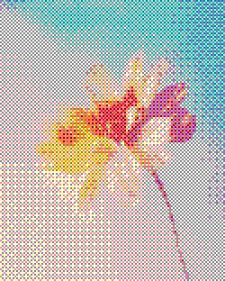 Soft pink daisy flower in dreamy pastel sky