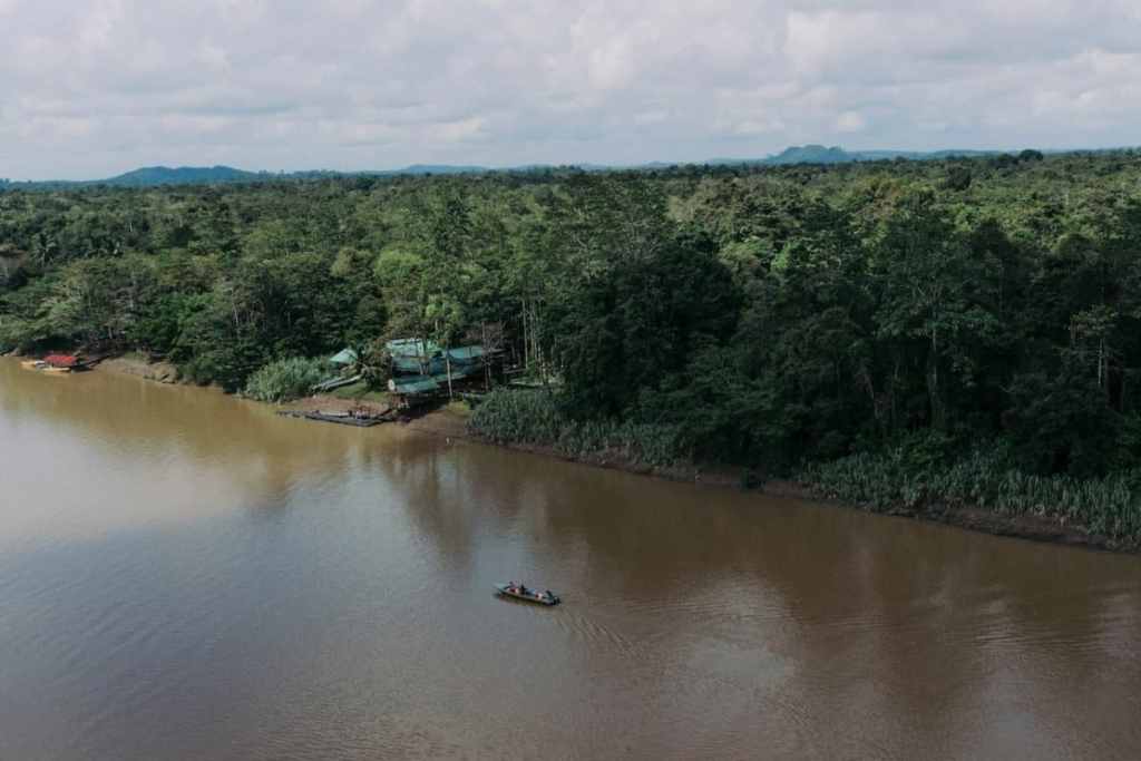 Aerial view of Kinabatangan River