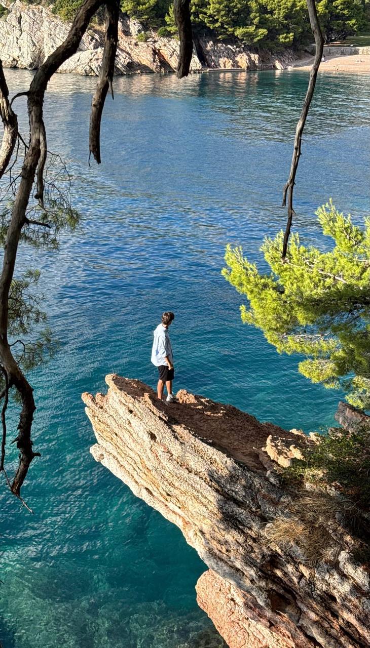 Vintage Car Under Palm Trees