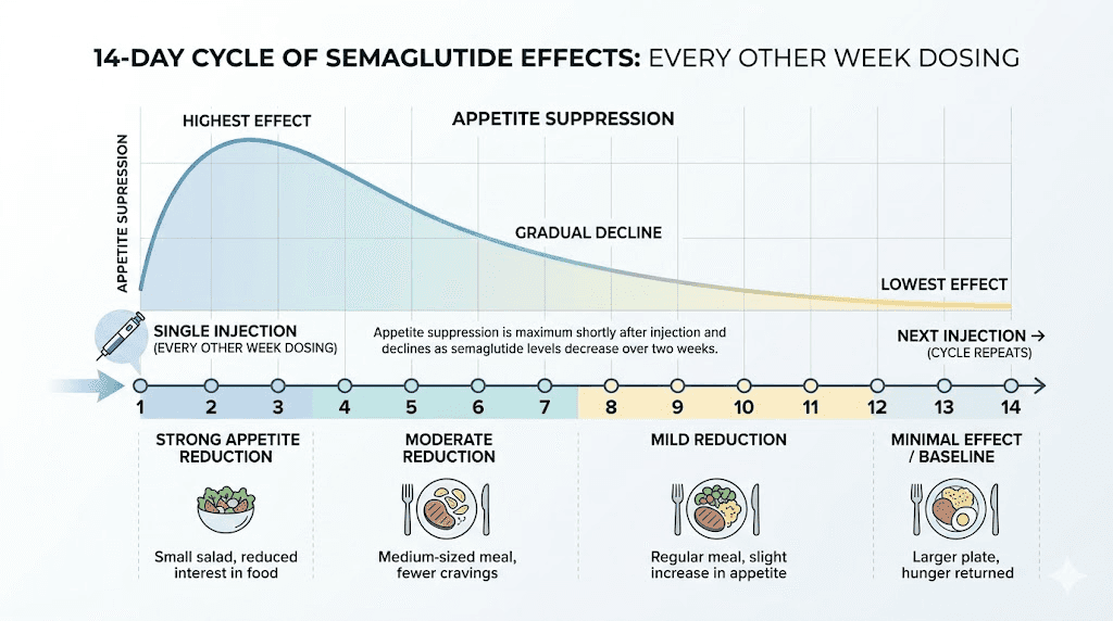 Semaglutide every other week 14-day cycle appetite suppression timeline
