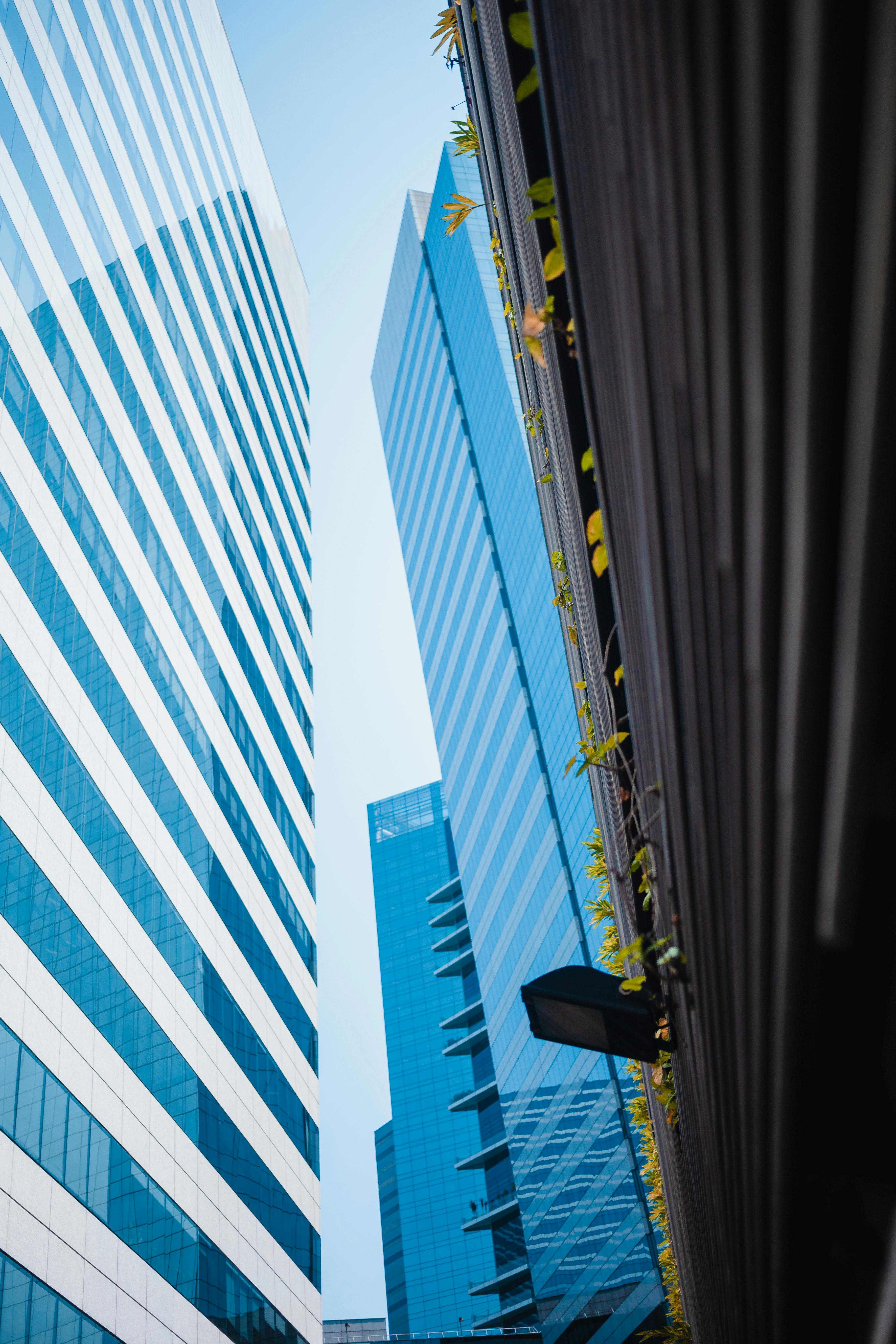 low angle photo of curtain wall building