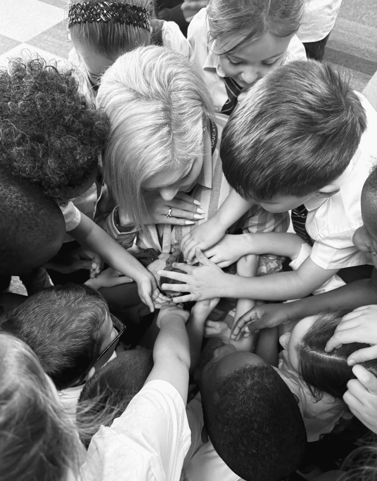 Children stroking tiny chihuahua