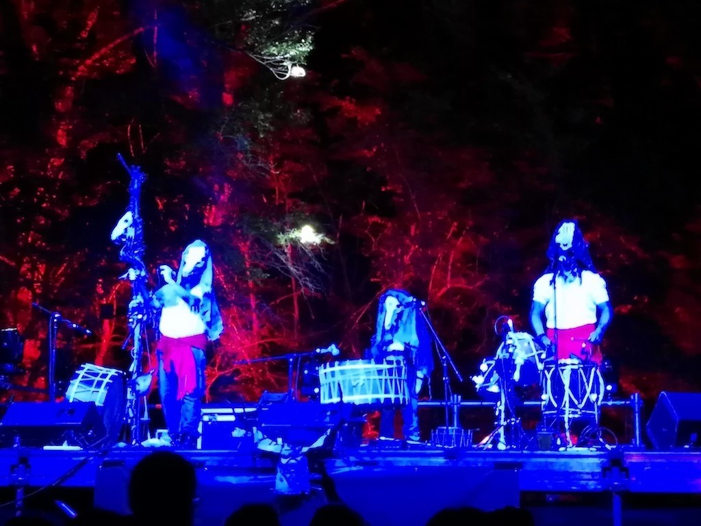 VIEJO MUNDO: ÁRNICA EN EL AULLIDO DEL LOBO