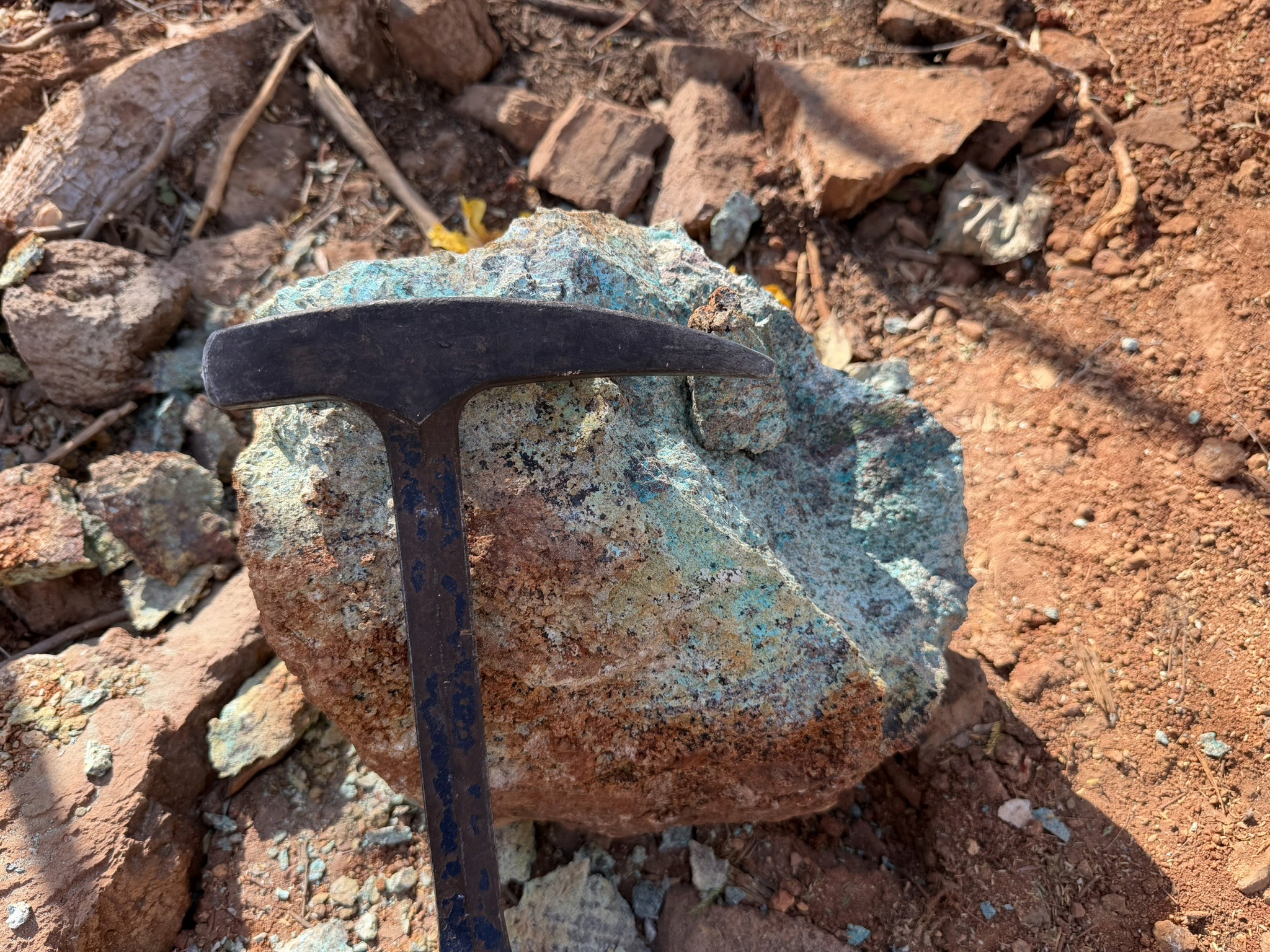 Copper mineralised granodiorite sample, in Cerro Grande NE target. Emergent target, defined by Algo Grande Copper after a successful soil sampling campaign