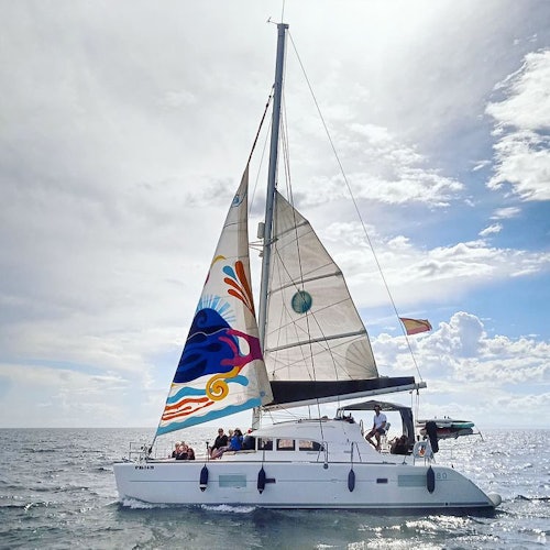 Catamaran Excursion Marbella tickets