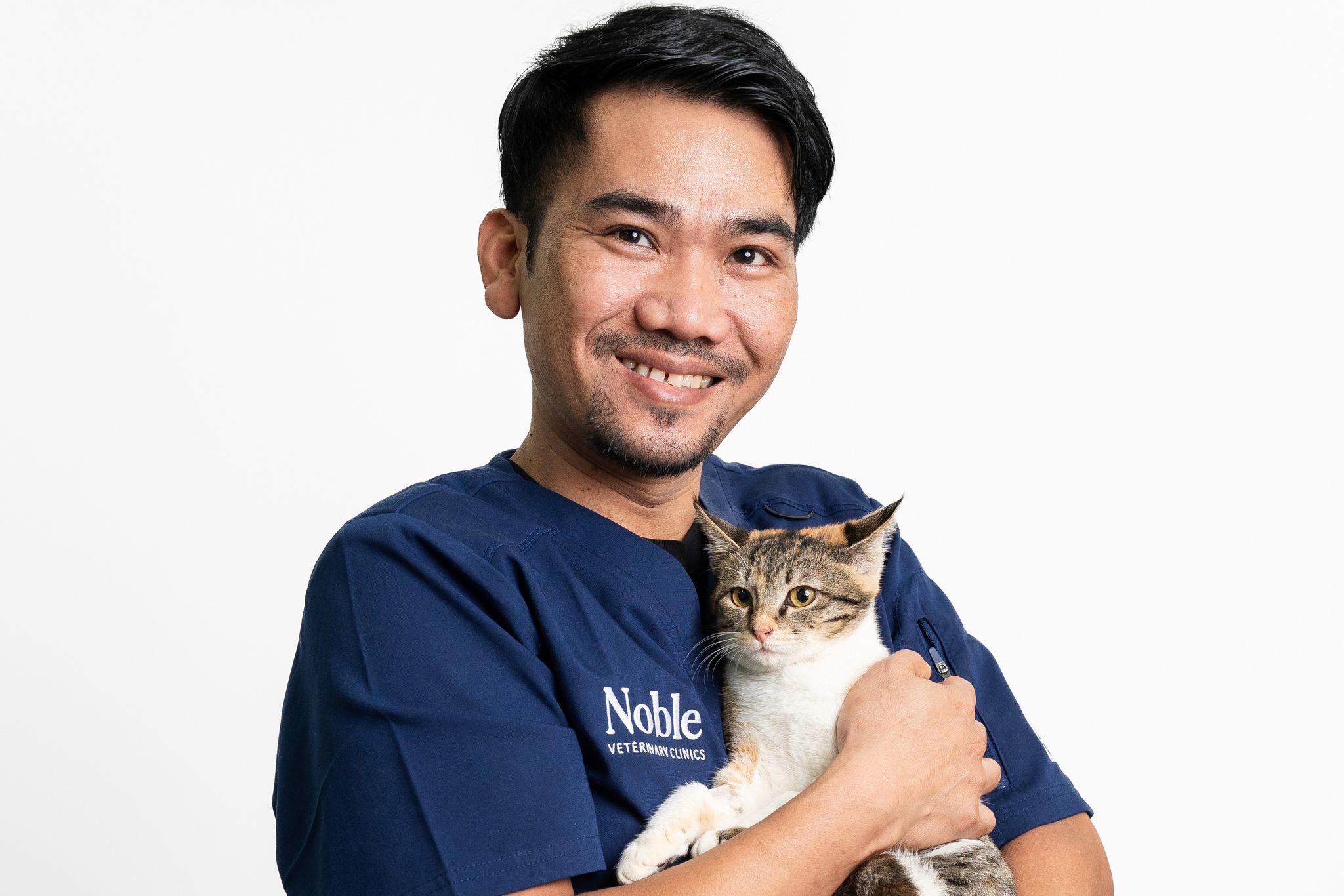 Preventing High-Rise Syndrome in Cats