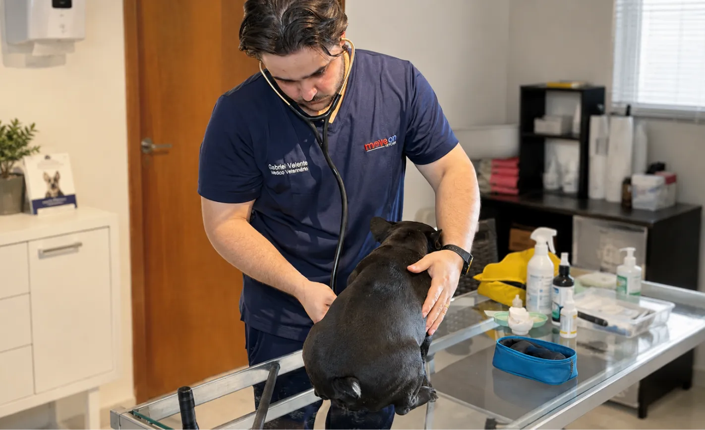 avaliação veterinaria