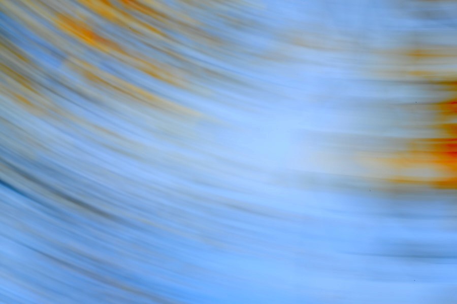 ciele azzurro in un mosso d'autunno