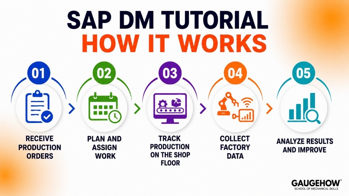 SAP DM Tutorial