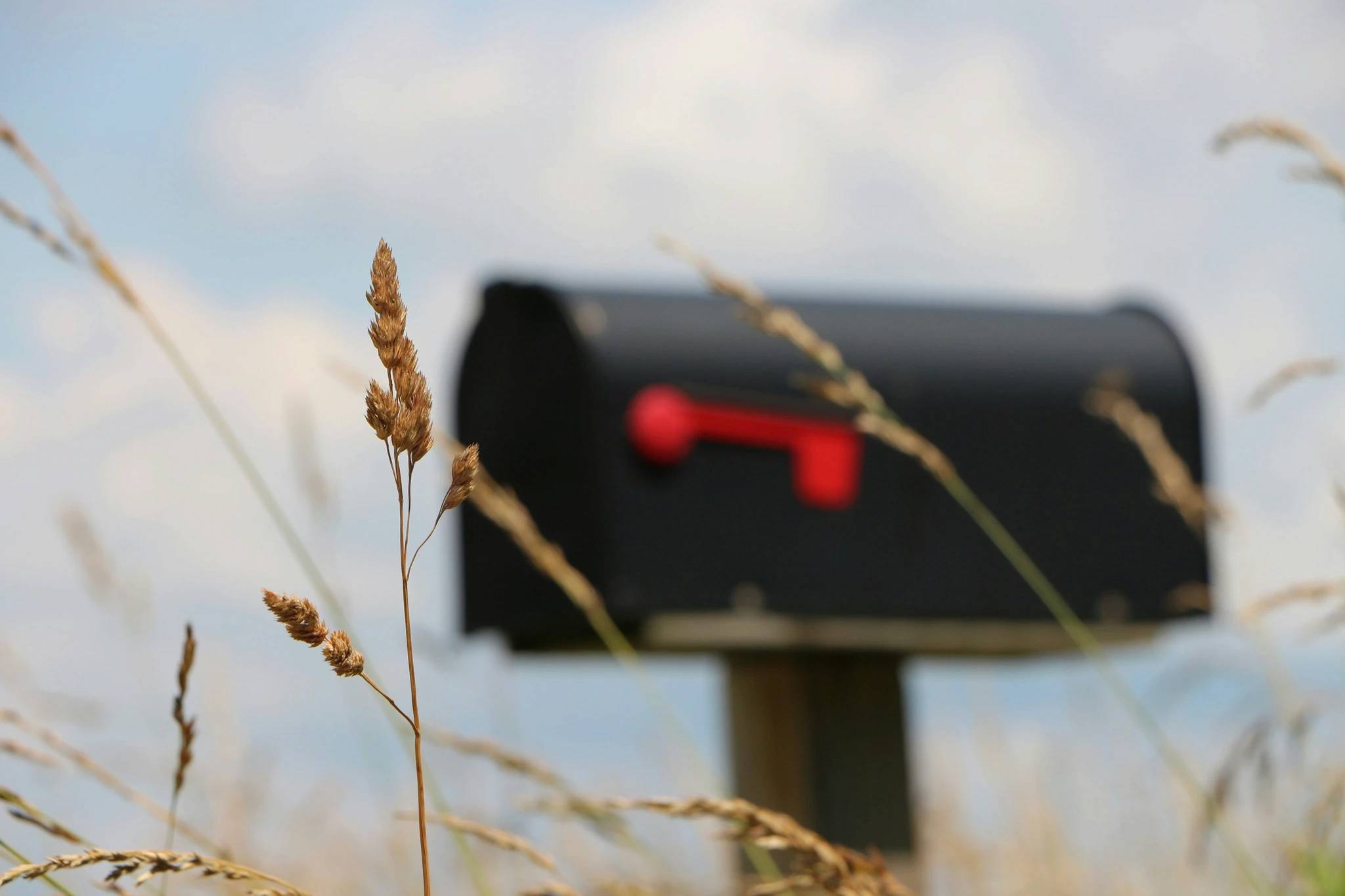 A mailbox in a prarie setting