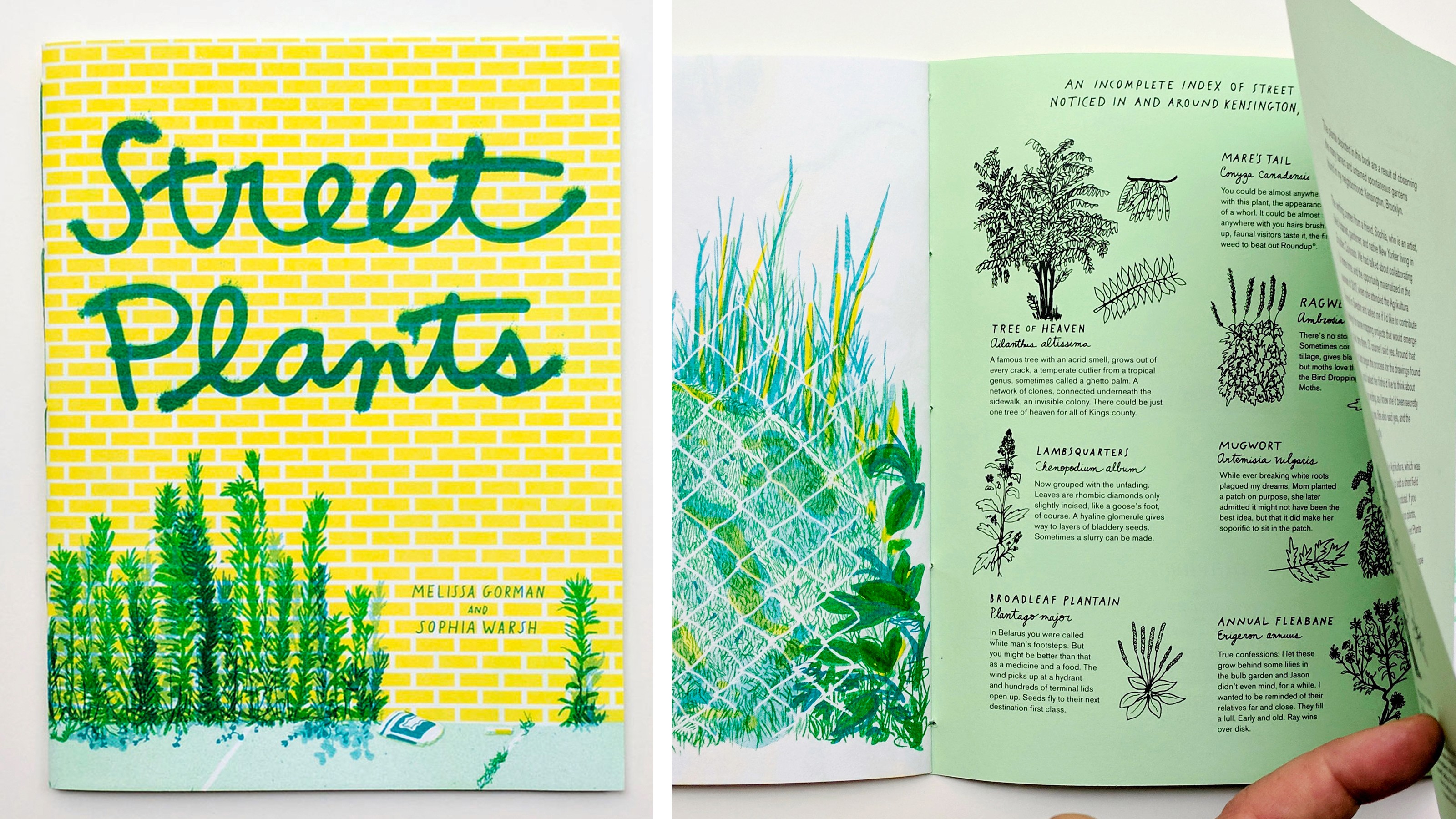 Street Plants book with illustrations