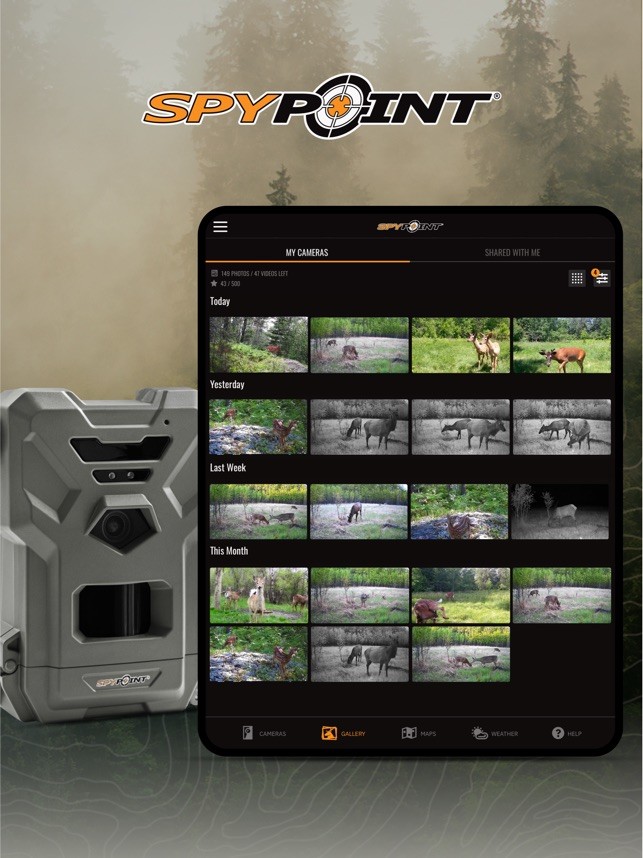 Featured Project Cover Image