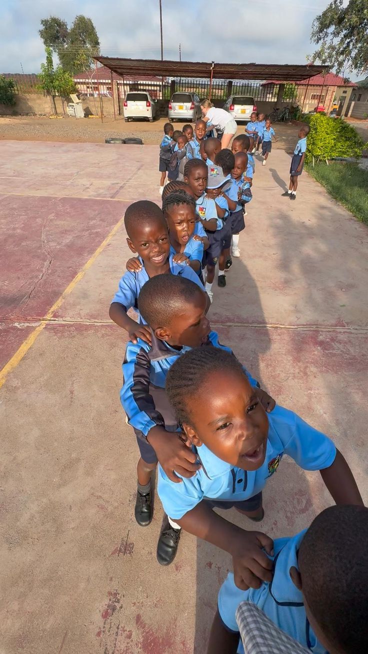 Close-up of a tree stump showing growth rings and a textured brown wood surface.