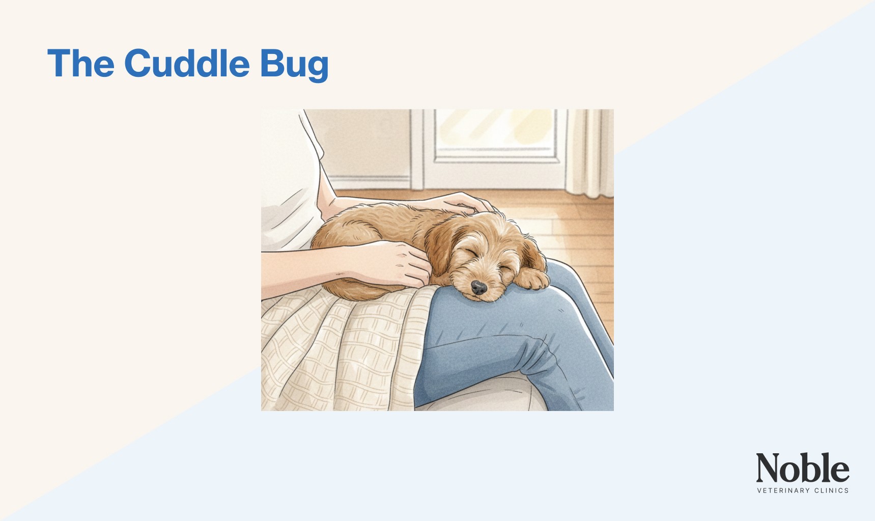 An infographic showing the cuddle bug sleeping position of dogs.