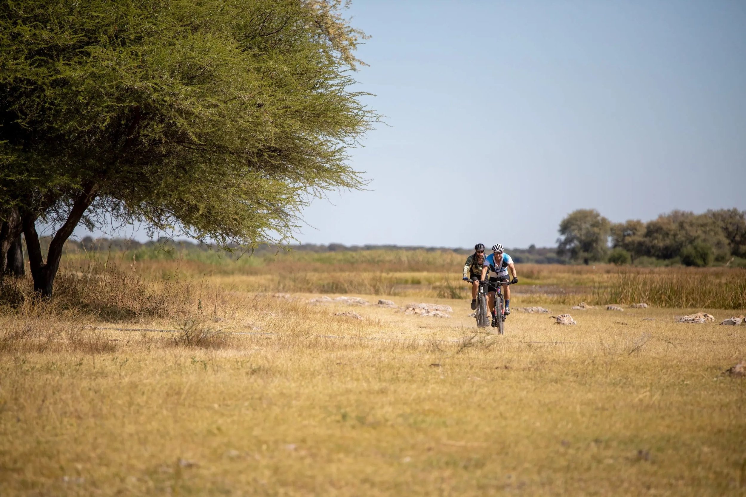 Two cyclists riding along an elephant trail through the Botswana bush