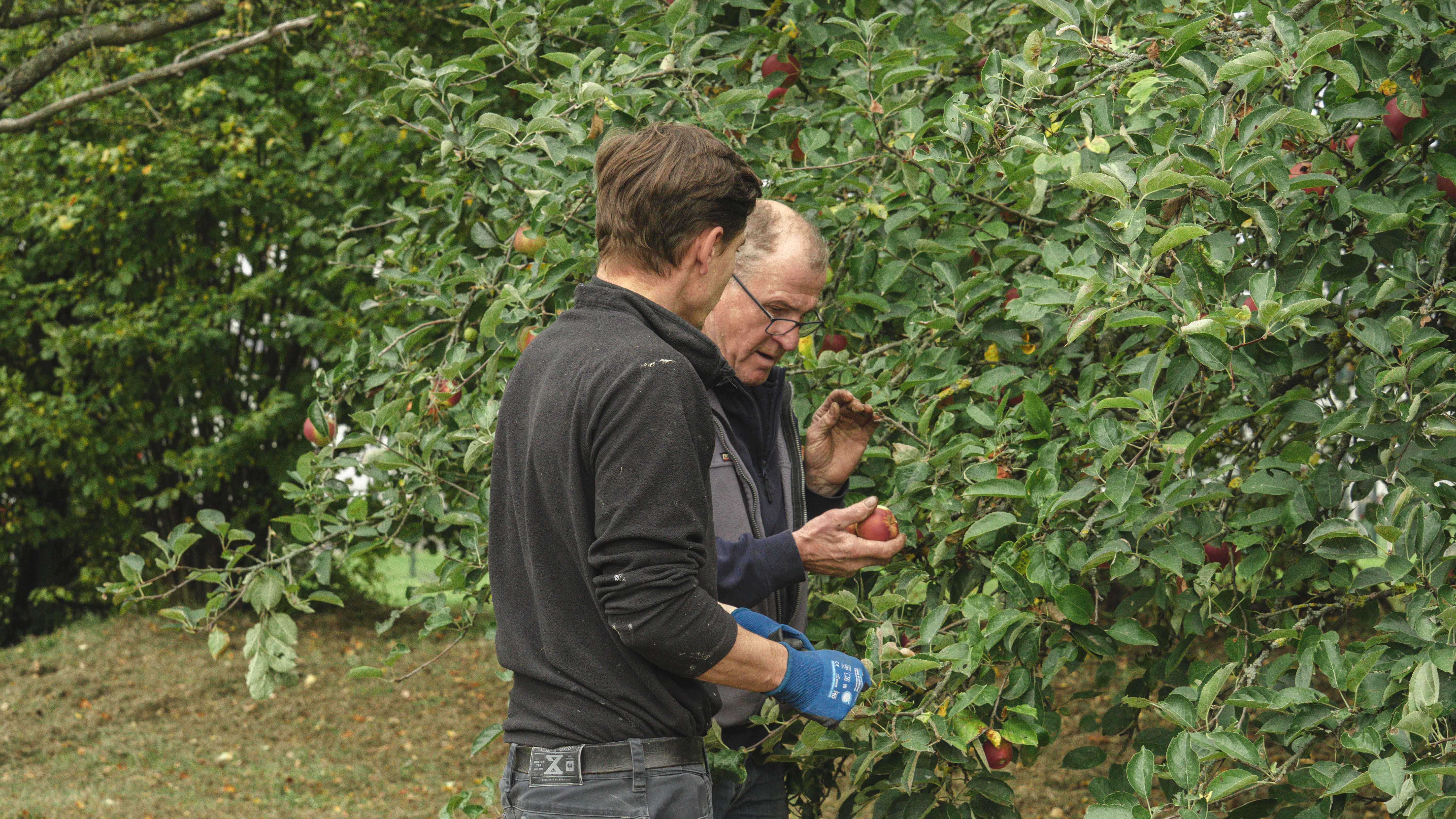 A dark glass bottle with a pump sits on a stone, surrounded by green leaves and textured background.